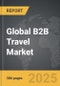 B2B Travel - Global Strategic Business Report - Product Image