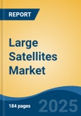 Large Satellites Market - Global Industry Size, Share, Trends, Opportunity, and Forecast, 2020-2030F- Product Image