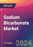 Sodium Bicarbonate Market Size, Market Share, Application Analysis, Regional Outlook, Growth Trends, Key Players, Competitive Strategies and Forecasts, 2024 To 2032- Product Image