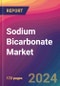 Sodium Bicarbonate Market Size, Market Share, Application Analysis, Regional Outlook, Growth Trends, Key Players, Competitive Strategies and Forecasts, 2024 To 2032 - Product Thumbnail Image