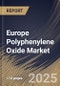 Europe Polyphenylene Oxide Market Size, Share & Trends Analysis Report By Application (Electronic Components, Automotive (Structural Parts), Medical Instruments, Domestic Appliances, Fluid Handling), By Country and Growth Forecast, 2024 - 2031 - Product Thumbnail Image