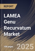 LAMEA Genu Recurvatum Market Size, Share & Trends Analysis Report By Treatment Type, By End User (Hospitals, Orthopedic Clinics, and Other End User), By Country and Growth Forecast, 2024 - 2031- Product Image