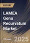 LAMEA Genu Recurvatum Market Size, Share & Trends Analysis Report By Treatment Type, By End User (Hospitals, Orthopedic Clinics, and Other End User), By Country and Growth Forecast, 2024 - 2031 - Product Image