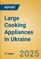 Large Cooking Appliances in Ukraine - Product Thumbnail Image