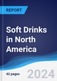 Soft Drinks in North America- Product Image