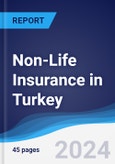 Non-Life Insurance in Turkey- Product Image