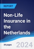 Non-Life Insurance in the Netherlands- Product Image