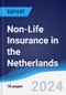 Non-Life Insurance in the Netherlands - Product Thumbnail Image