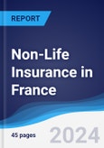 Non-Life Insurance in France- Product Image