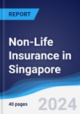 Non-Life Insurance in Singapore- Product Image