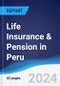 Life Insurance & Pension in Peru - Product Thumbnail Image