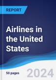 Airlines in the United States- Product Image