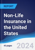 Non-Life Insurance in the United States- Product Image