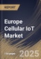 Europe Cellular IoT Market Size, Share & Trends Analysis Report By End Use, By Component, By Technology, By Country and Growth Forecast, 2024 - 2031 - Product Image