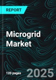 Microgrid Market Size and Share Analysis - Growth Trends and Forecast Report 2025-2033- Product Image