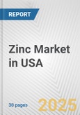 Zinc Market in USA: 2019-2024 Review and Forecast to 2029- Product Image