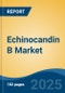 Echinocandin B Market - Global Industry Size, Share, Trends, Opportunity, and Forecast, 2020-2030F - Product Image