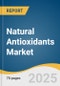 Natural Antioxidants Market Size, Share & Trends Analysis Report By Product (Vitamin C, Vitamin E, Polyphenols, Carotenoids), By Application (Pharmaceuticals, Food, Animal feed, Beverages), By Region, And Segment Forecasts, 2025 - 2030 - Product Image