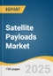 Satellite Payloads Market Size, Share & Trends Analysis Report By Size (LEO, MEO, GEO), By Application (Communication & Navigation, Remote Sensing, Surveillance), By End Use, By Region, And Segment Forecasts, 2025 - 2030 - Product Image