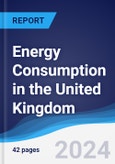 Energy Consumption in the United Kingdom- Product Image