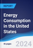 Energy Consumption in the United States- Product Image