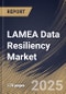 LAMEA Data Resiliency Market Size, Share & Trends Analysis Report By Organization Size (Large Enterprises, and Small & Medium Enterprises), By End-use , By Deployment (Cloud, and On-Premises), By Type, By Country and Growth Forecast, 2024 - 2031 - Product Thumbnail Image