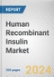 Human Recombinant Insulin Market: Global Opportunity Analysis and Industry Forecast, 2024-2033 - Product Image