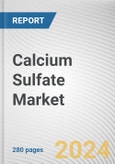 Calcium Sulfate Market: Global Opportunity Analysis and Industry Forecast, 2024-2033- Product Image