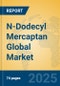 N-Dodecyl Mercaptan Global Market Insights 2025, Analysis and Forecast to 2030, by Manufacturers, Regions, Technology, Application - Product Image