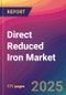 Direct Reduced Iron (DRI) Market Size, Market Share, Application Analysis, Regional Outlook, Growth Trends, Key Players, Competitive Strategies and Forecasts, 2025 To 2033 - Product Image