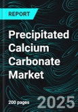 Precipitated Calcium Carbonate Market Size and Share Analysis - Growth Trends and Forecast Report 2025-2033- Product Image