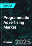 Programmatic Advertising Market Size and Share Analysis - Growth Trends and Forecast Report 2025-2033- Product Image