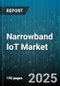 Narrowband IoT Market (NB-IoT) by Component (Modules, Services, Software), Deployment Models (Guard Band Deployment, In-Band Deployment, Standalone Deployment), Network Type, Application, End-Use - Global Forecast 2025-2030 - Product Thumbnail Image