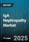 IgA Nephropathy Market by Drug Class (ACE Inhibitors, Angiotensin Receptor Blockers, Corticosteroids), Treatment (Dialysis, Immunosuppressive Therapy, Kidney Transplant), Patient Type, End User, Distribution Channel - Global Forecast 2025-2030 - Product Image