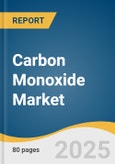 Carbon Monoxide Market Size, Share & Trends Analysis Report by Application (Chemical, Metal Fabrication, Electronics, Pharma & Biotechnology, Meat & Coloring Preservative), and Region (North America, Europe) with Growth Forecasts, 2025-2030- Product Image