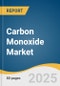 Carbon Monoxide Market Size, Share & Trends Analysis Report by Application (Chemical, Metal Fabrication, Electronics, Pharma & Biotechnology, Meat & Coloring Preservative), and Region (North America, Europe) with Growth Forecasts, 2025-2030 - Product Thumbnail Image