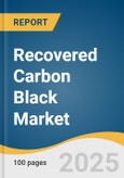 Recovered Carbon Black Market Size, Share & Trends Analysis Report by Application (Tires, Rubber, High Performance Coatings, Plastics), and Region (North America, Europe, Asia-Pacific, Central and South America, MEA) with Growth Forecasts, 2025-2030- Product Image