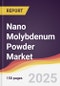 Nano Molybdenum Powder Market Report: Trends, Forecast and Competitive Analysis to 2031 - Product Image