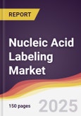 Nucleic Acid Labeling Market Report: Trends, Forecast and Competitive Analysis to 2031- Product Image