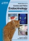 BSAVA Manual of Canine and Feline Endocrinology. Edition No. 1. BSAVA British Small Animal Veterinary Association - Product Thumbnail Image