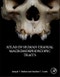 Atlas of Human Cranial Macromorphoscopic Traits - Product Thumbnail Image