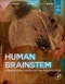 Human Brainstem. Cytoarchitecture, Chemoarchitecture, Myeloarchitecture - Product Thumbnail Image