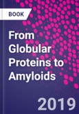 From Globular Proteins to Amyloids- Product Image