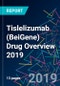 Tislelizumab (BeiGene) Drug Overview 2019 - Product Thumbnail Image