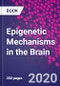 Epigenetic Mechanisms in the Brain - Product Thumbnail Image