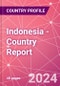 Indonesia - Country Report - Product Image