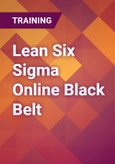 Lean Six Sigma Online Black Belt- Product Image